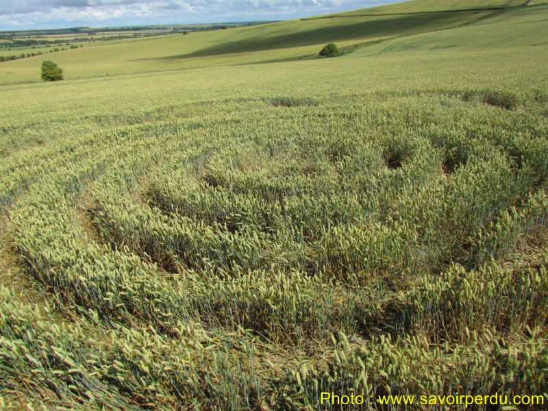 Charlbury Hill, Wiltshire crop circle, aerial photo 51