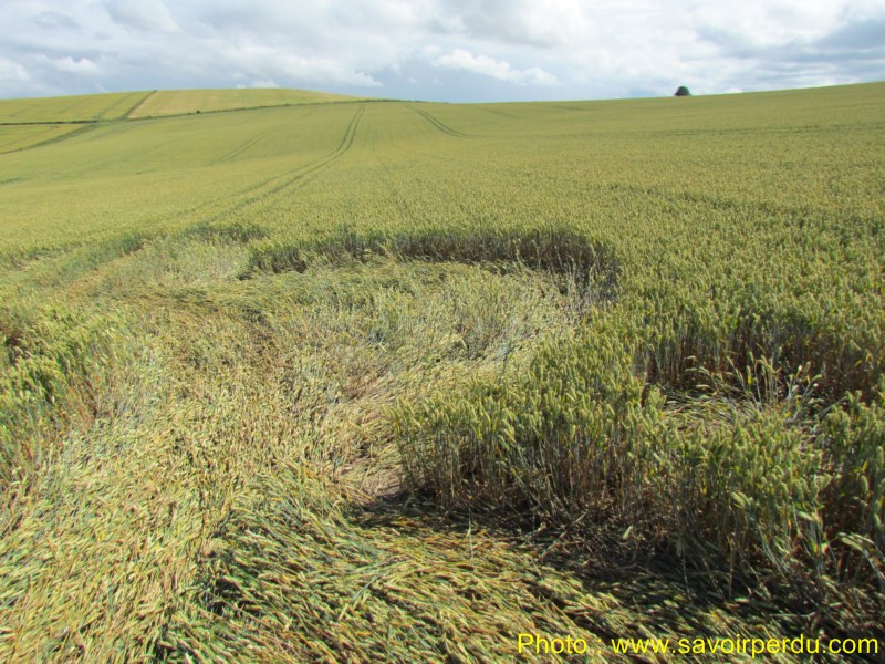 Charlbury Hill, Wiltshire crop circle, aerial photo 47