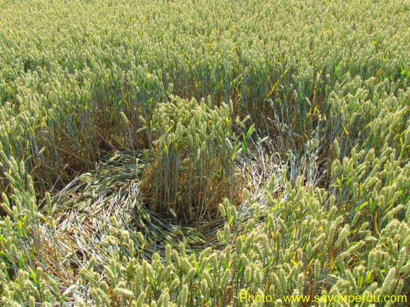 Charlbury Hill, Wiltshire crop circle, aerial photo 46