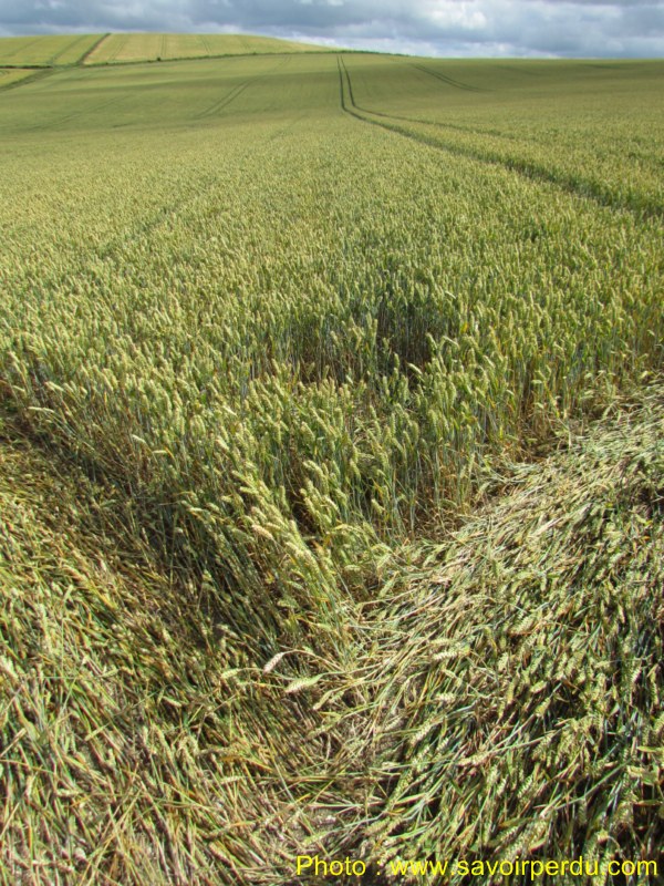 Charlbury Hill, Wiltshire crop circle, aerial photo 48