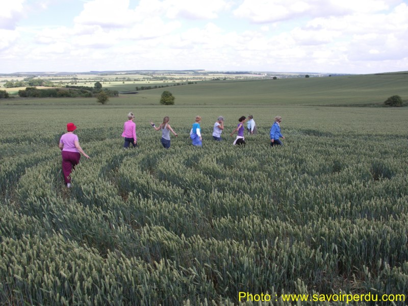 Charlbury Hill, Wiltshire crop circle, aerial photo 27