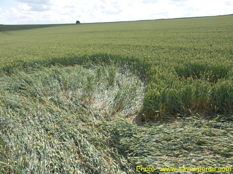 Charlbury Hill, Wiltshire crop circle, aerial photo 37