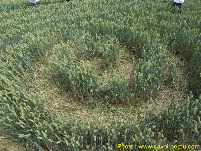 Charlbury Hill, Wiltshire crop circle, aerial photo 33