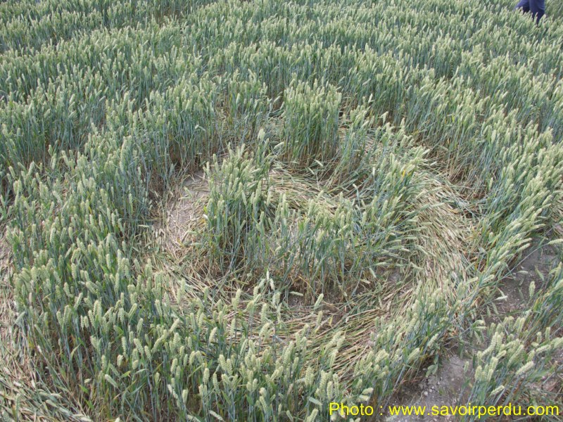 Charlbury Hill, Wiltshire crop circle, aerial photo 32