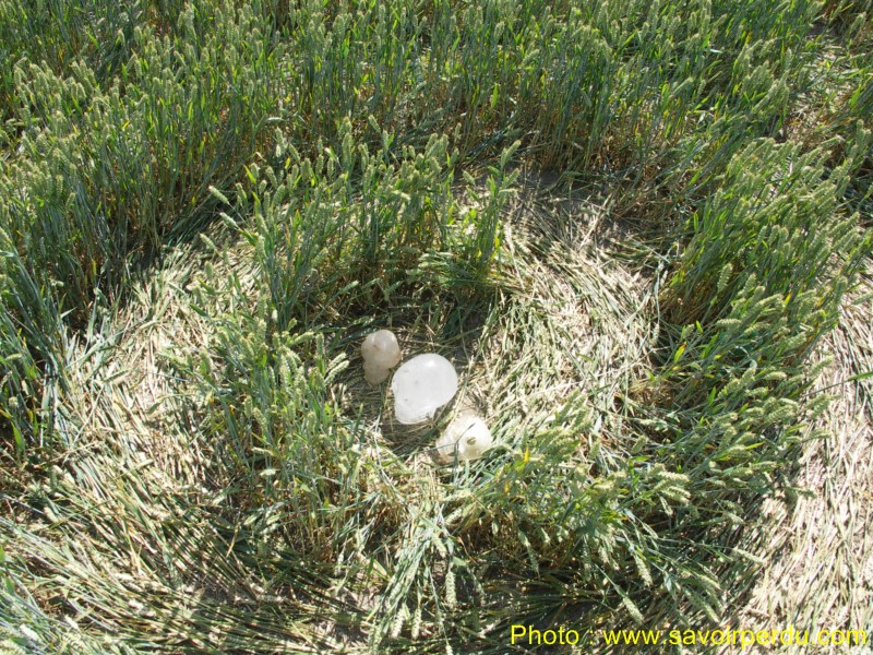 Charlbury Hill, Wiltshire crop circle, aerial photo 29