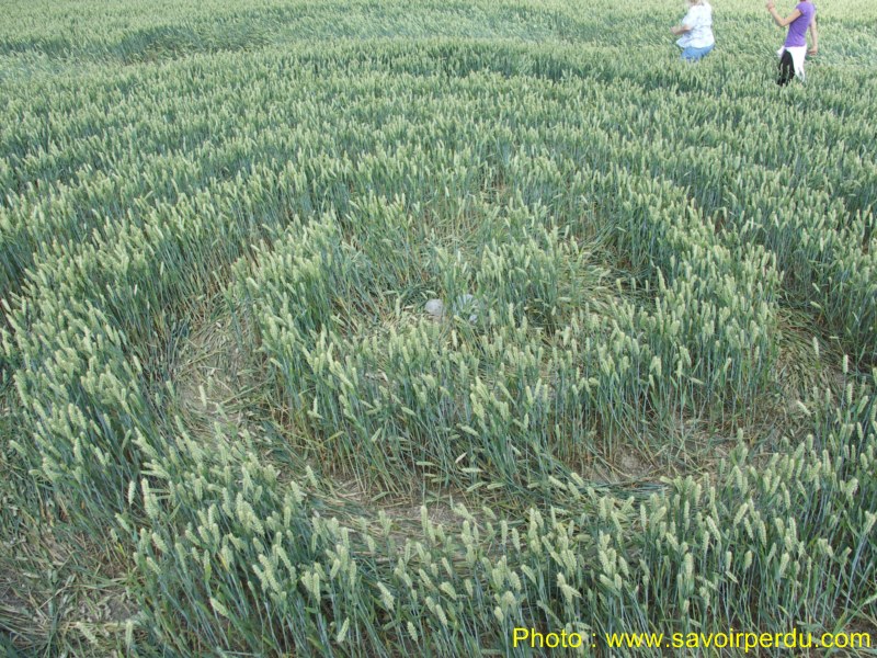Charlbury Hill, Wiltshire crop circle, aerial photo 28