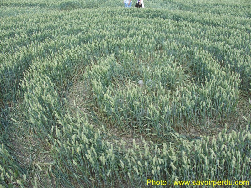 Charlbury Hill, Wiltshire crop circle, aerial photo 54