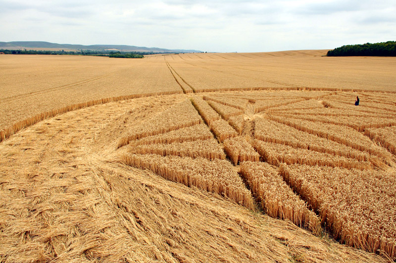 Etchilhampton, Wiltshire crop circle, aerial photo 53