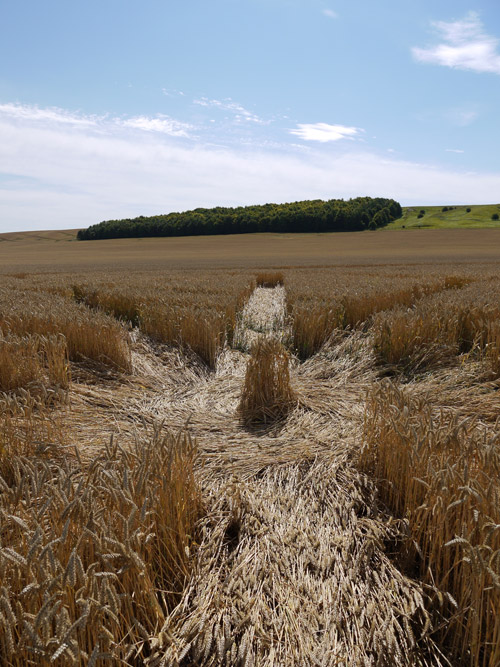 Etchilhampton, Wiltshire crop circle, aerial photo 56