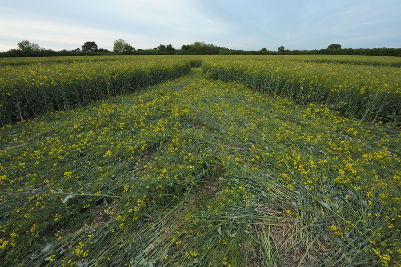 Hannington, Wiltshire crop circle, aerial photo 32
