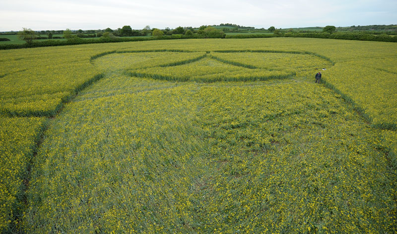 Hannington, Wiltshire crop circle, aerial photo 33