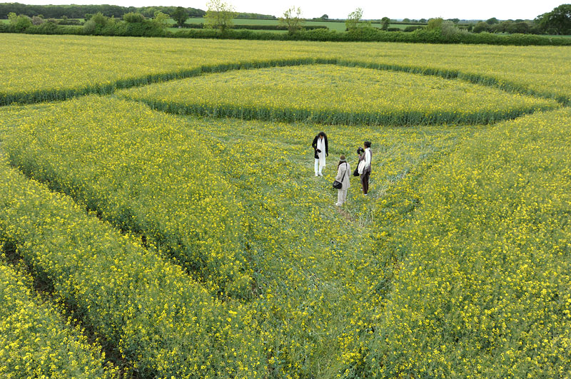 Hannington, Wiltshire crop circle, aerial photo 34