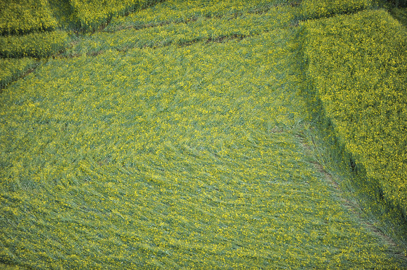 Hannington, Wiltshire crop circle, aerial photo 35