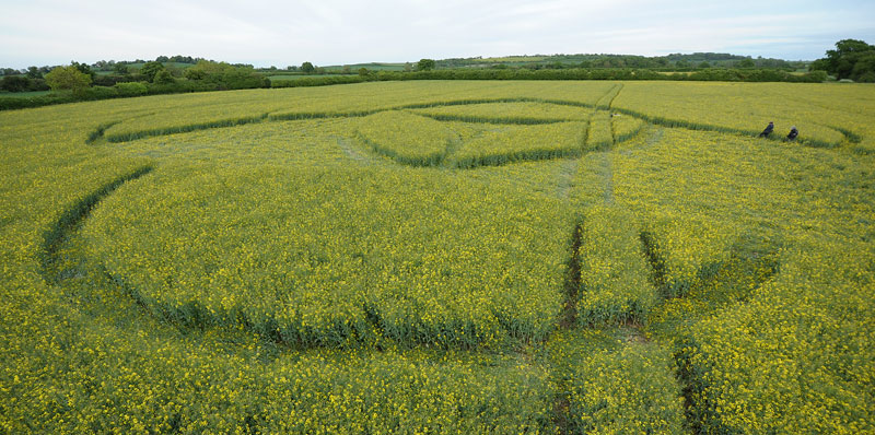 Hannington, Wiltshire crop circle, aerial photo 36