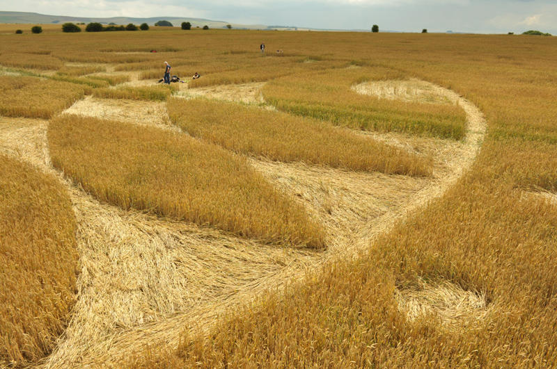Overton Down, Wiltshire crop circle, aerial photo 49