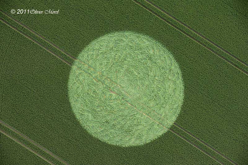 Stanton St Bernard, Wiltshire crop circle, aerial photo 3
