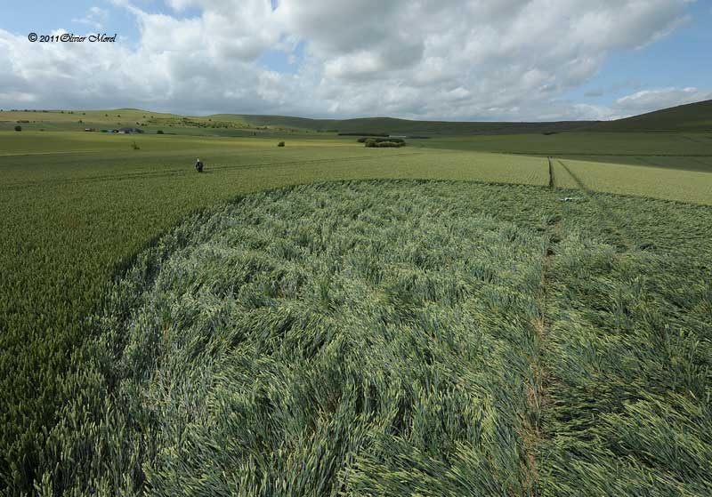 Stanton St Bernard, Wiltshire crop circle, aerial photo 14