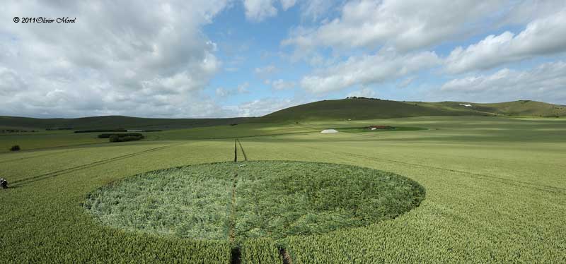 Stanton St Bernard, Wiltshire crop circle, aerial photo 15