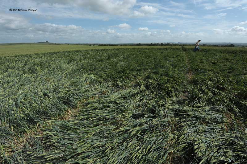 Stanton St Bernard, Wiltshire crop circle, aerial photo 19