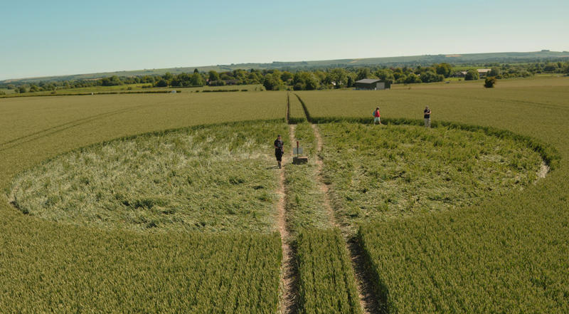 Stanton St Bernard, Wiltshire crop circle, aerial photo 11