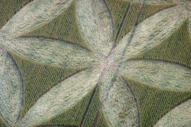 Walmsgate, Lincolnshire crop circle, aerial photo 2