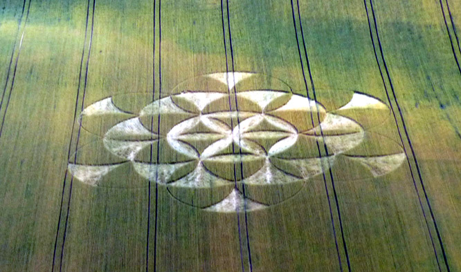 Walmsgate, Lincolnshire crop circle, aerial photo 3