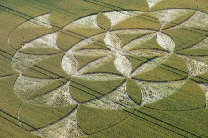 Walmsgate, Lincolnshire crop circle, aerial photo 4