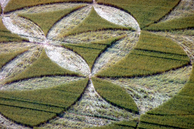 Walmsgate, Lincolnshire crop circle, aerial photo 5