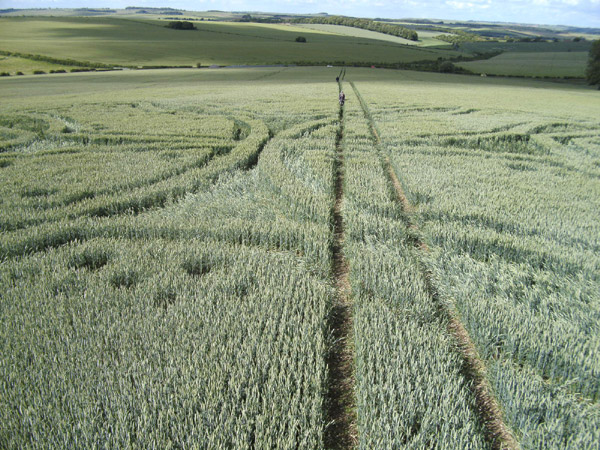 Westwoods, Wiltshire crop circle, aerial photo 31
