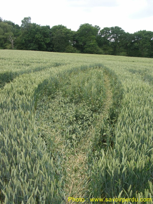 Westwoods, Wiltshire crop circle, aerial photo 66
