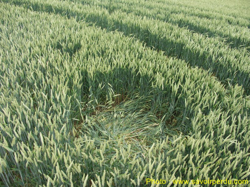 Westwoods, Wiltshire crop circle, aerial photo 63
