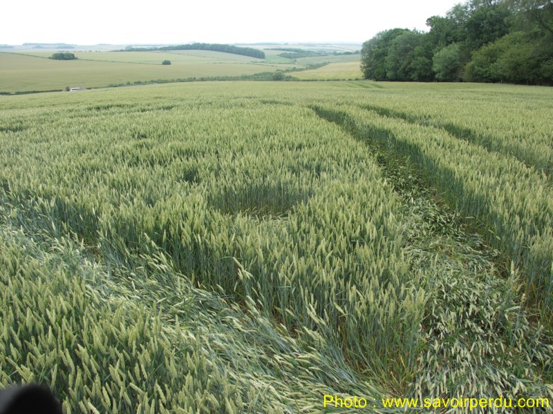 Westwoods, Wiltshire crop circle, aerial photo 49