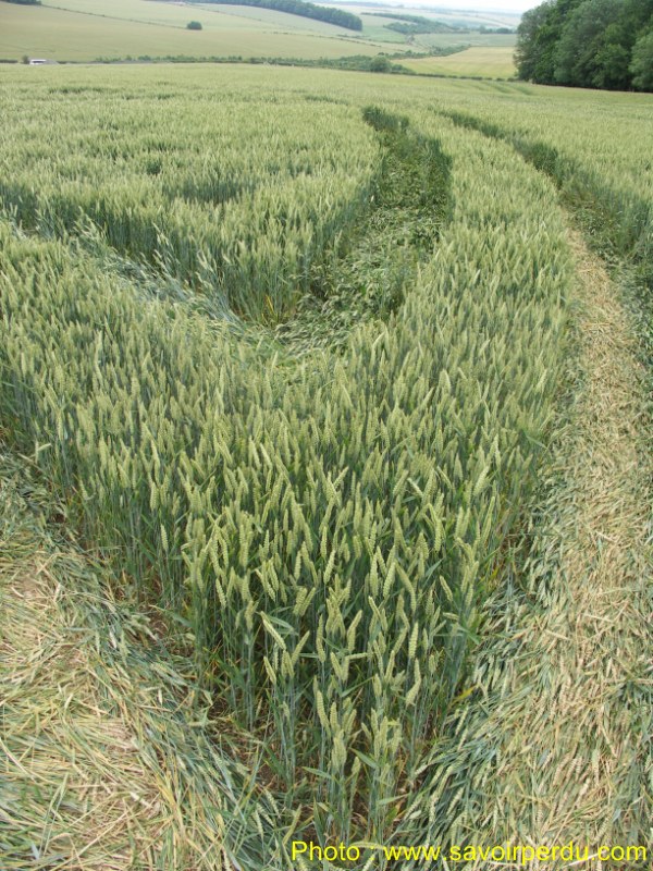 Westwoods, Wiltshire crop circle, aerial photo 48