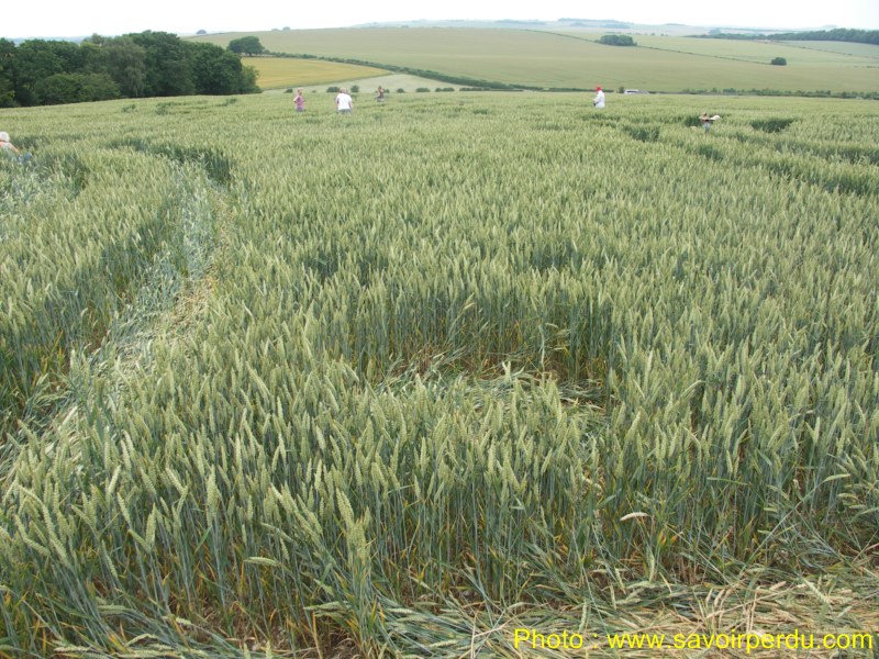 Westwoods, Wiltshire crop circle, aerial photo 47