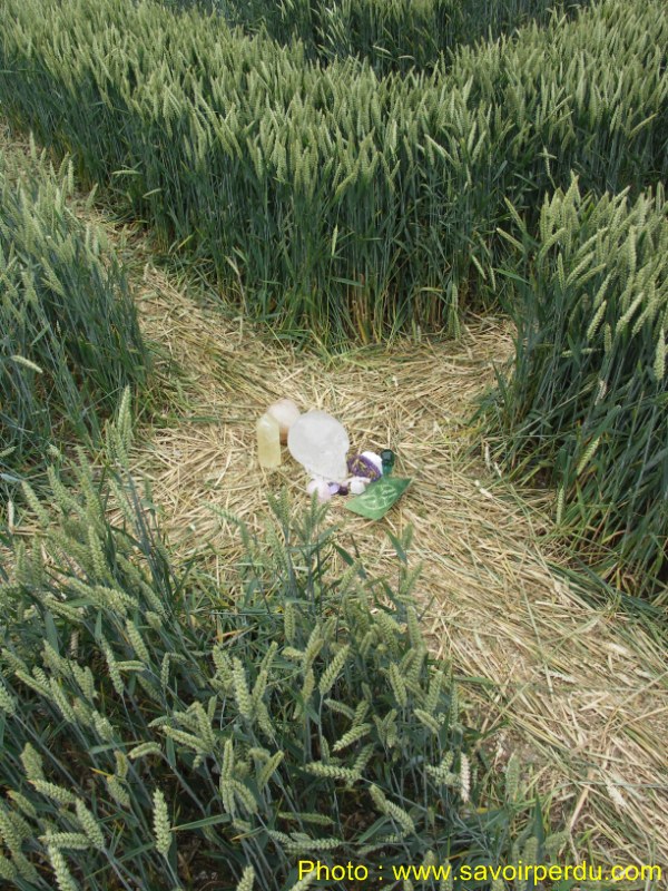 Westwoods, Wiltshire crop circle, aerial photo 42