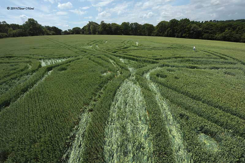 Westwoods, Wiltshire crop circle, aerial photo 26