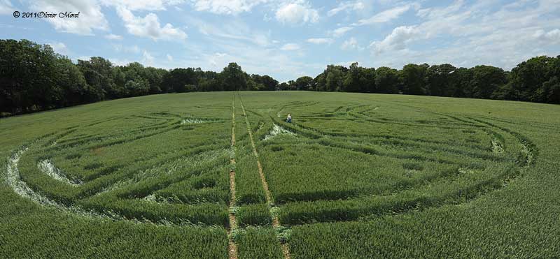 Westwoods, Wiltshire crop circle, aerial photo 24