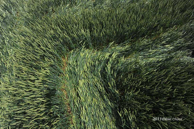 Westwoods, Wiltshire crop circle, aerial photo 28