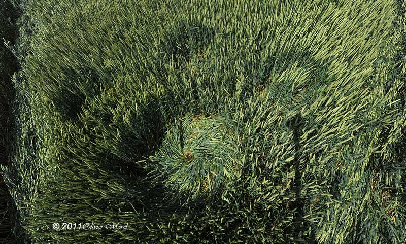 Westwoods, Wiltshire crop circle, aerial photo 29