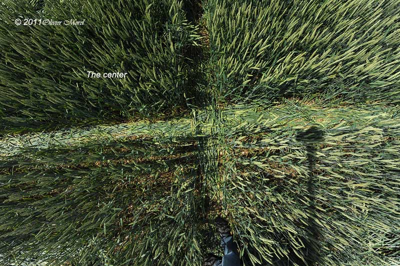 Westwoods, Wiltshire crop circle, aerial photo 30