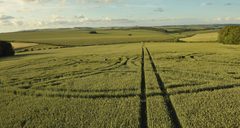 Westwoods, Wiltshire crop circle, aerial photo 19