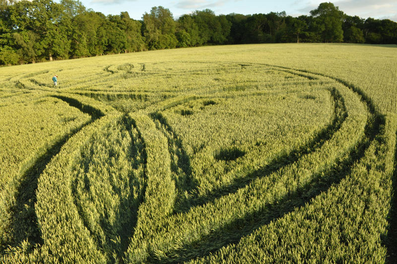 Westwoods, Wiltshire crop circle, aerial photo 20