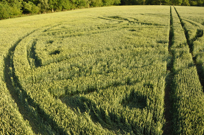 Westwoods, Wiltshire crop circle, aerial photo 21