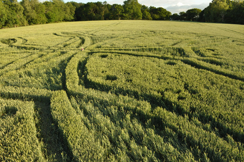Westwoods, Wiltshire crop circle, aerial photo 22