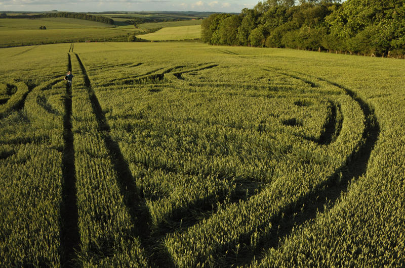 Westwoods, Wiltshire crop circle, aerial photo 23