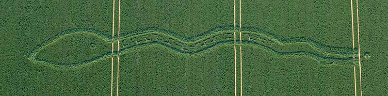 Wilton Windmill, Wiltshire crop circle, aerial photo 11