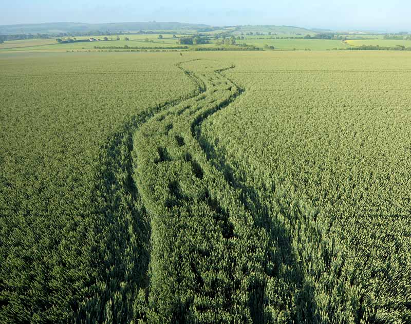 Wilton Windmill, Wiltshire crop circle, aerial photo 16