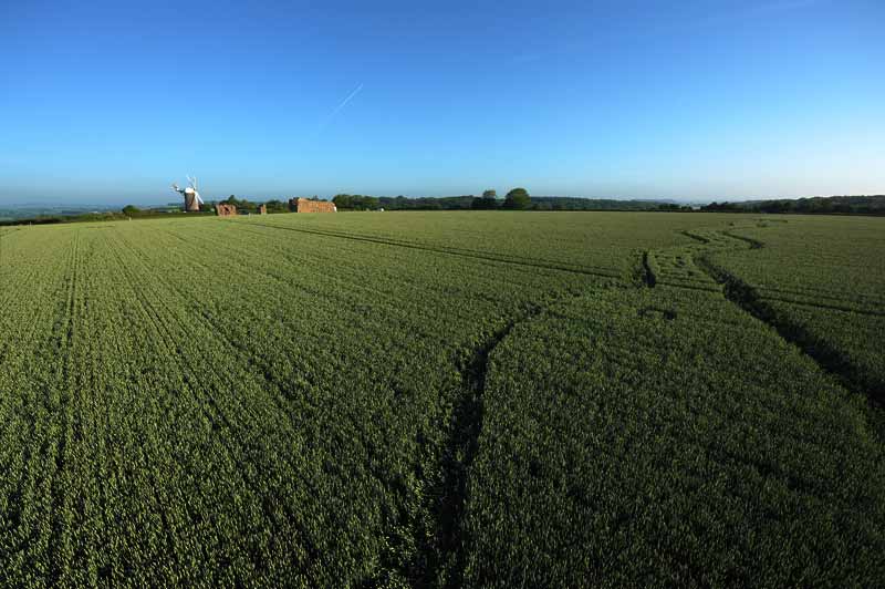 Wilton Windmill, Wiltshire crop circle, aerial photo 17