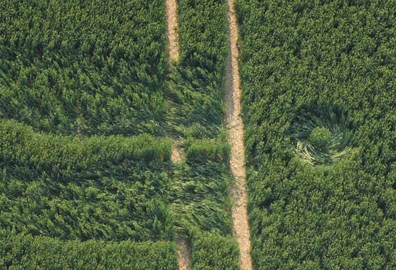 Wilton Windmill, Wiltshire crop circle, aerial photo 14