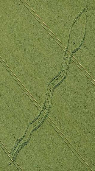 Wilton Windmill, Wiltshire crop circle, aerial photo 7